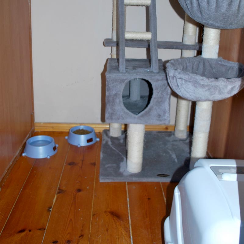 placeholder image-sq