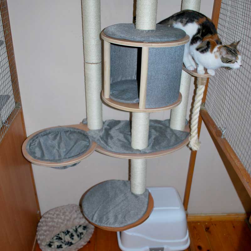 placeholder image-sq