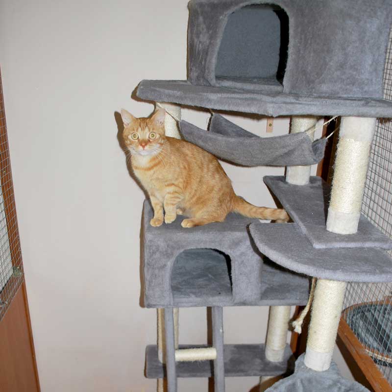 placeholder image-sq