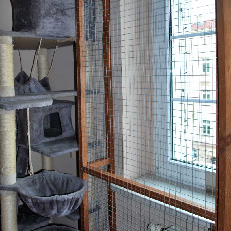 placeholder image-sq